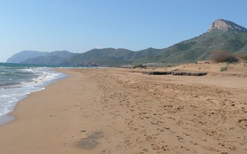 Las 8 Playas de Murcia que Debes Visitar en 2026 y por qué Tienen Bandera Azul Portal inmobiliario de noticias profesionales