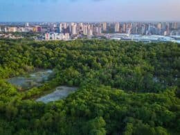 Ciudades al límite: ¿Están preparadas para sobrevivir al cambio climático? Portal inmobiliario de noticias profesionales