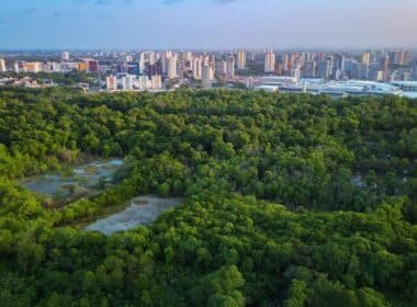 Ciudades al límite: ¿Están preparadas para sobrevivir al cambio climático? Portal inmobiliario de noticias profesionales