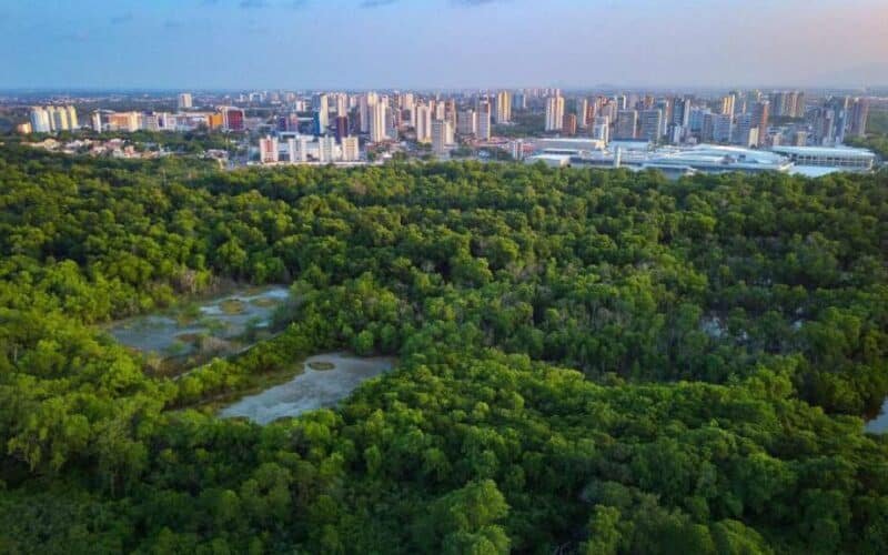 Ciudades al límite: ¿Están preparadas para sobrevivir al cambio climático? Portal inmobiliario de noticias profesionales