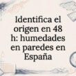 Identifica las causas de las humedades en paredes en 48 h