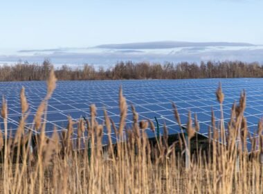 Agrivoltaica con paneles solares integrados en una explotación agrícola