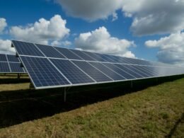 Paneles fotovoltaicos para una guía sobre mantenimiento de placas solares