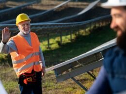 Paneles solares bifaciales en una instalación fotovoltaica de campo
